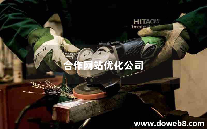 合作网站优化公司