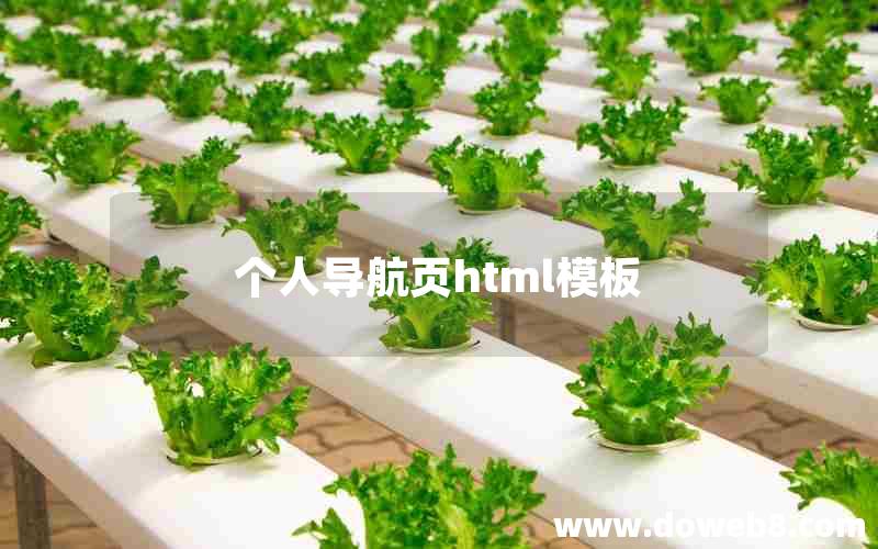 个人导航页html模板