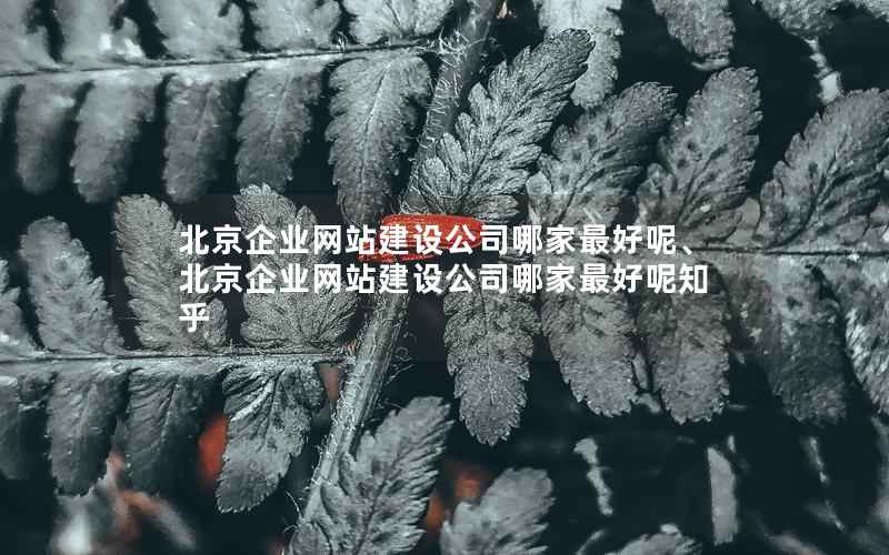 北京企业网站建设公司哪家最好呢、北京企业网站建设公司哪家最好呢知乎