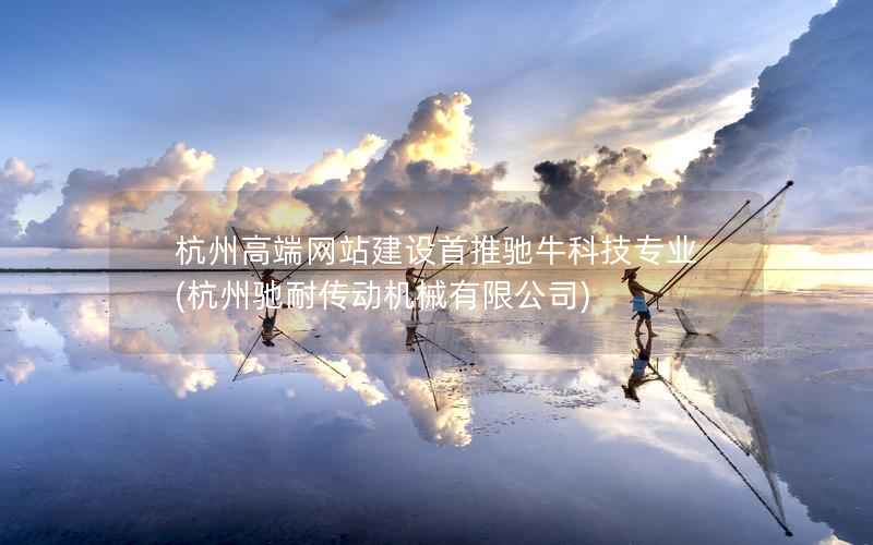 杭州高端网站建设首推驰牛科技专业，杭州驰耐传动机械有限公司
