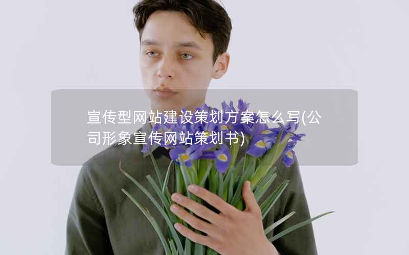 宣传型网站建设策划方案怎么写，公司形象宣传网站策划书