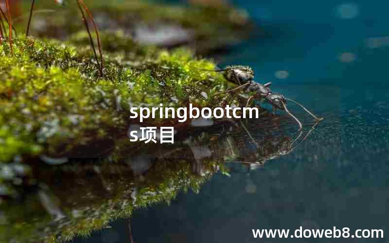 springbootcms项目 springbootcms项目