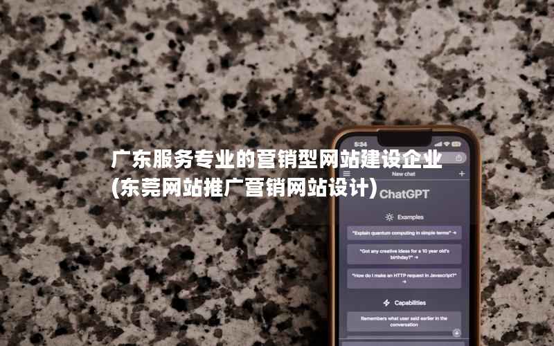 广东服务专业的营销型网站建设企业，东莞网站推广营销网站设计