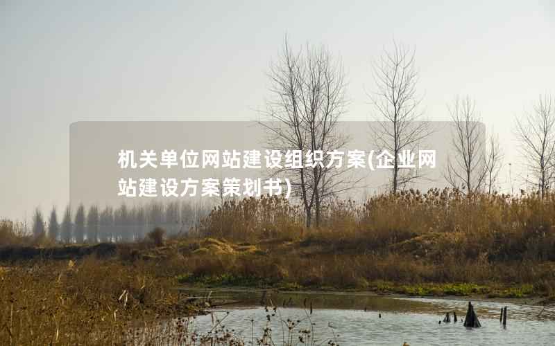 机关单位网站建设组织方案，企业网站建设方案策划书