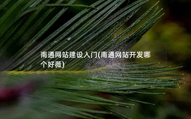 南通网站建设入门，南通网站开发哪个好薇