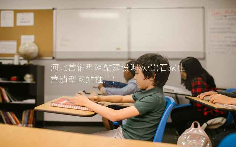 河北营销型网站建设哪家强，石家庄营销型网站推广