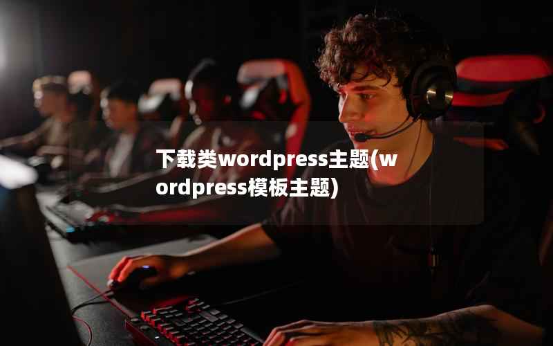 下载类WordPress主题，WordPress模板主题
