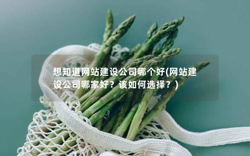 想知道网站建设公司哪个好，网站建设公司哪家好？该如何选择？