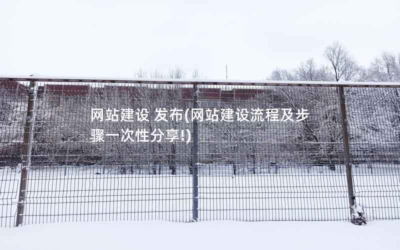 网站建设 发布，网站建设流程及步骤一次性分享!
