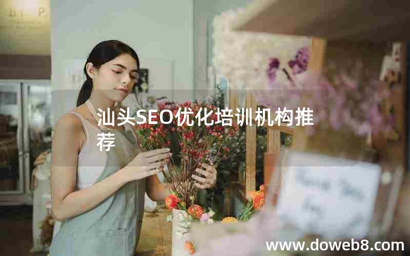 汕头SEO优化培训机构推荐，汕头seo优化培训机构推荐