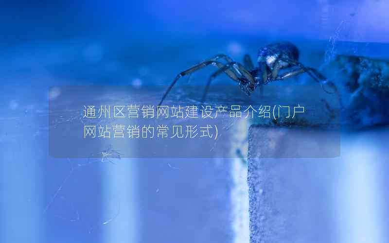 通州区营销网站建设产品介绍，门户网站营销的常见形式