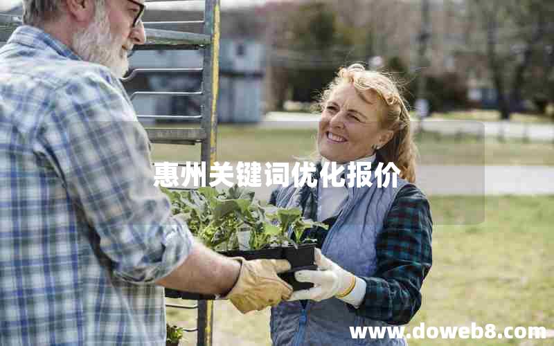 惠州关键词优化报价