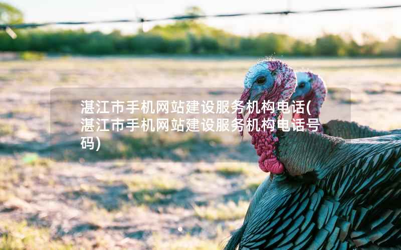 湛江市手机网站建设服务机构电话，湛江市手机网站建设服务机构电话号码