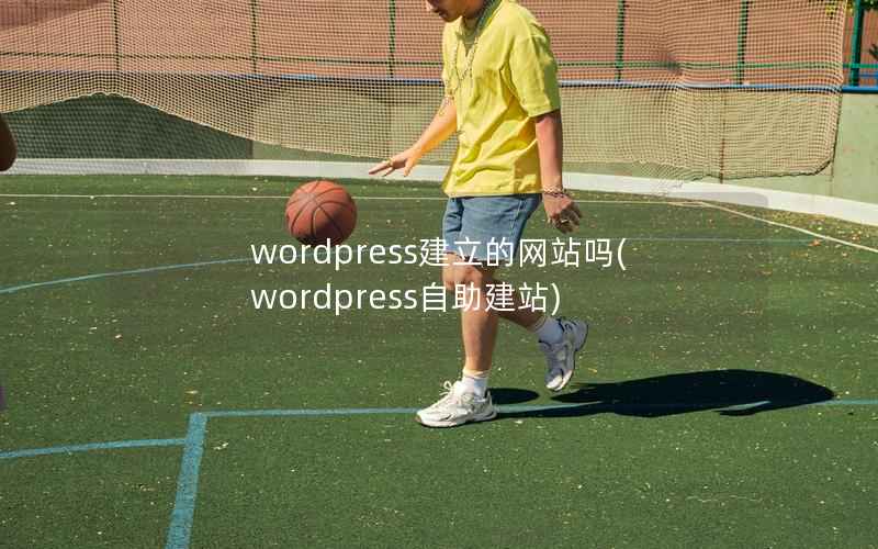WordPress建立的网站吗，WordPress自助建站