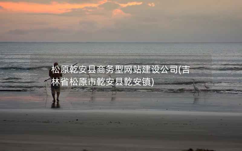 松原乾安县商务型网站建设公司，吉林省松原市乾安县乾安镇