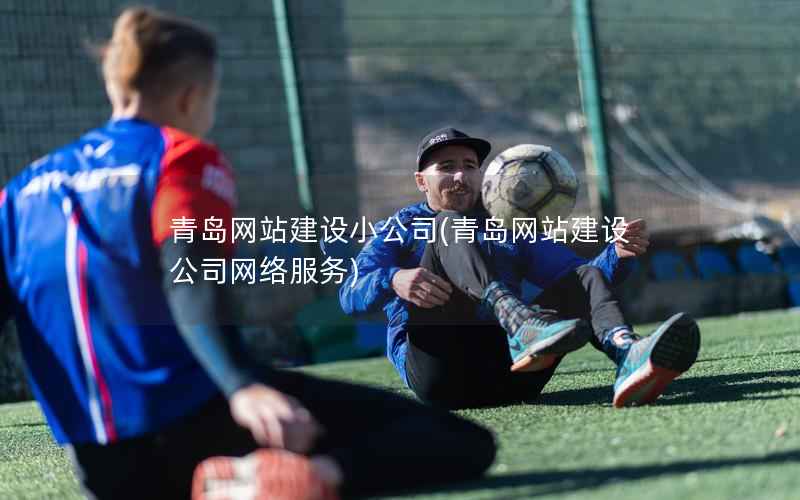 青岛网站建设小公司，青岛网站建设公司网络服务