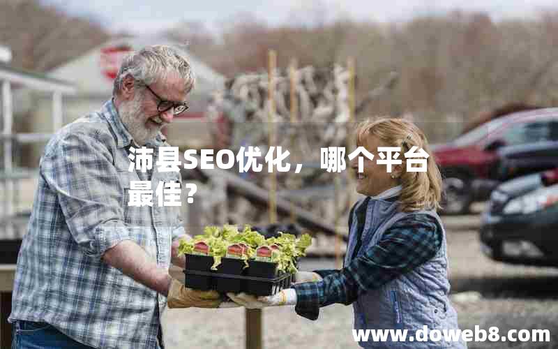 沛县SEO优化，哪个平台最佳？，沛县seo优化,哪个平台最佳？