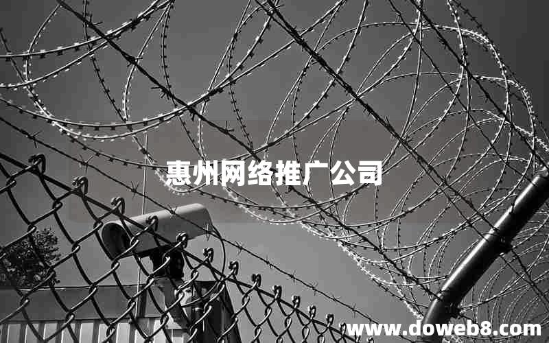惠州网络推广公司