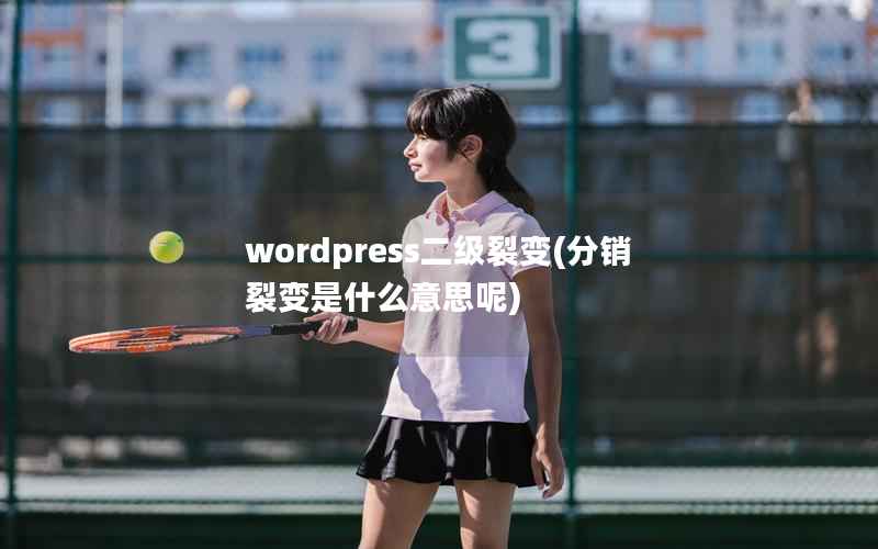 WordPress二级裂变，分销裂变是什么意思呢