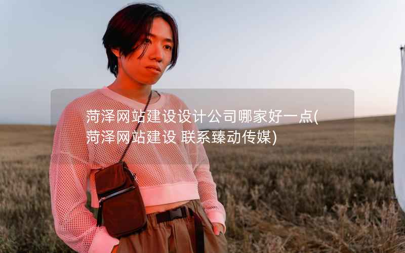 菏泽网站建设设计公司哪家好一点，菏泽网站建设 联系臻动传媒