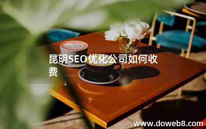 昆明SEO优化公司如何收费，昆明seo优化公司如何收费