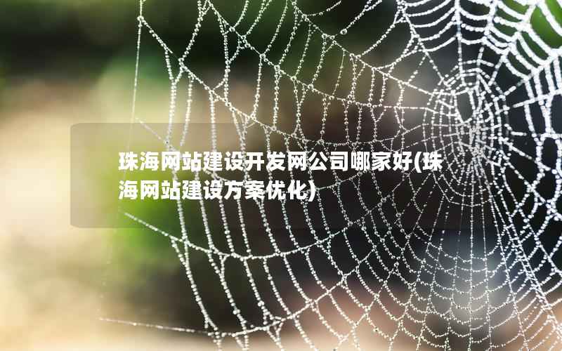 珠海网站建设开发网公司哪家好，珠海网站建设方案优化
