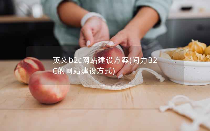 英文b2c网站建设方案，间力B2C的网站建设方式
