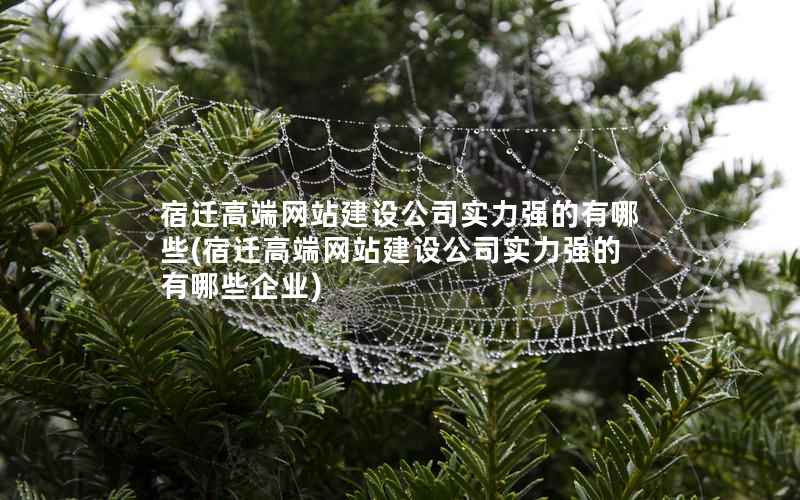 宿迁高端网站建设公司实力强的有哪些，宿迁高端网站建设公司实力强的有哪些企业