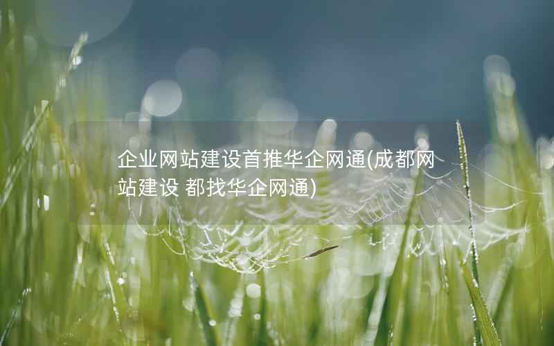 企业网站建设首推华企网通，成都网站建设 都找华企网通