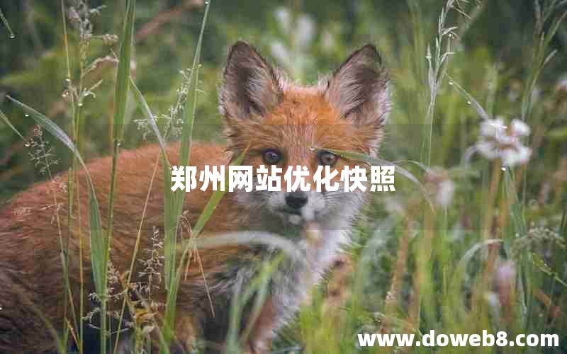 郑州网站优化快照