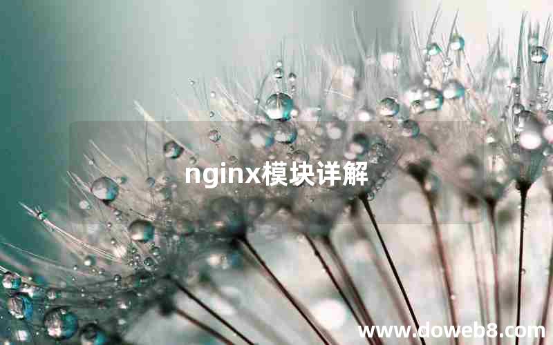 nginx模块详解 nginx模块详解
