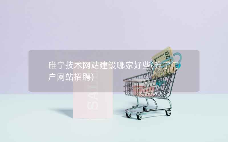 睢宁技术网站建设哪家好些，睢宁门户网站招聘