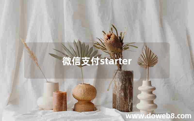 微信支付starter