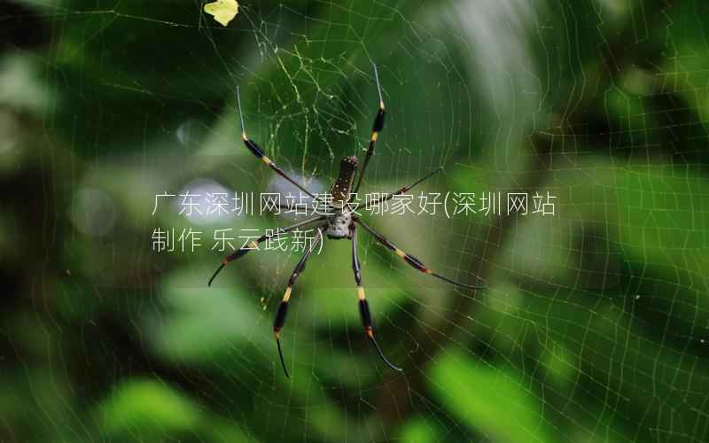 广东深圳网站建设哪家好，深圳网站制作 乐云践新