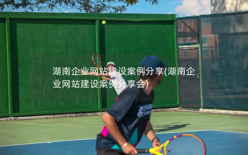湖南企业网站建设案例分享，湖南企业网站建设案例分享会