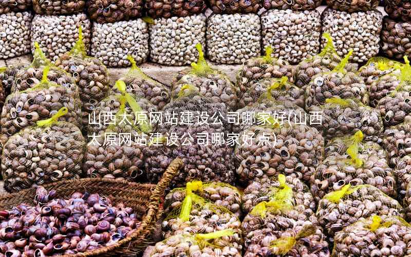 山西太原网站建设公司哪家好，山西太原网站建设公司哪家好点
