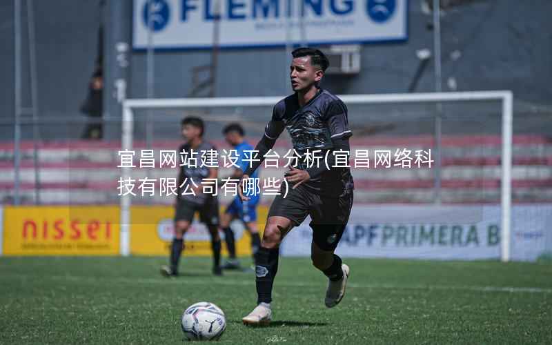 宜昌网站建设平台分析，宜昌网络科技有限公司有哪些