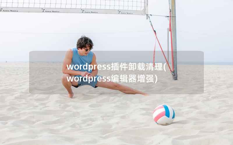 WordPress插件卸载清理，WordPress编辑器增强