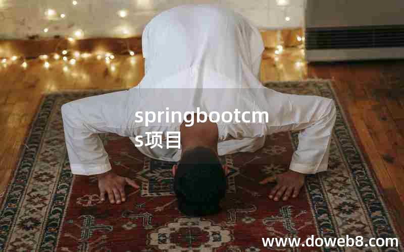 springbootcms项目