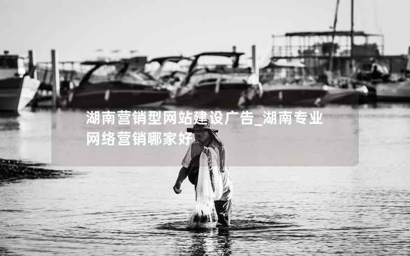 湖南营销型网站建设广告_湖南专业网络营销哪家好