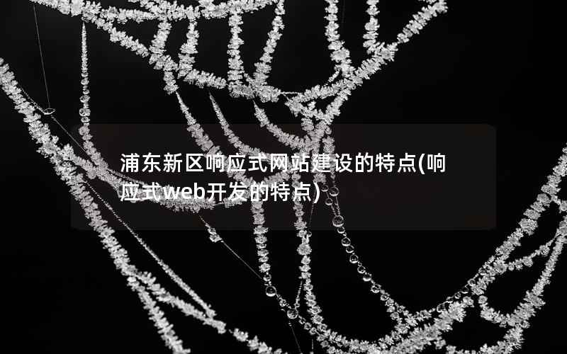 浦东新区响应式网站建设的特点，响应式web开发的特点