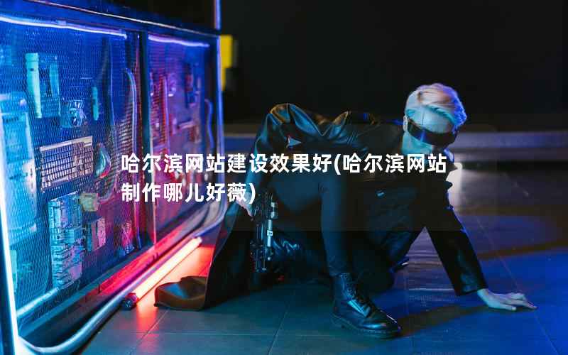 哈尔滨网站建设效果好，哈尔滨网站制作哪儿好薇
