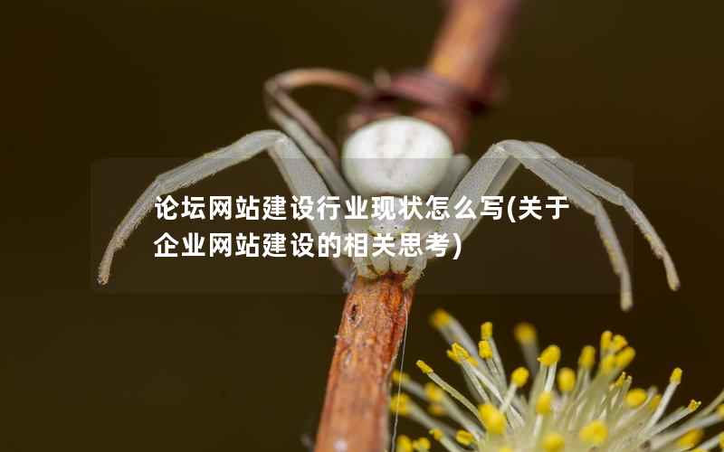 论坛网站建设行业现状怎么写，关于企业网站建设的相关思考