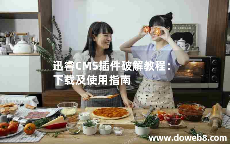 迅睿cms插件破解教程：下载及使用指南