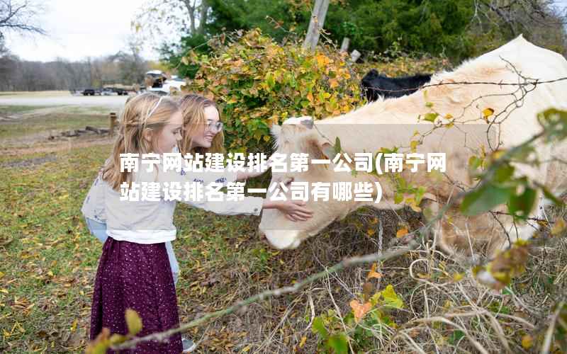 南宁网站建设排名第一公司，南宁网站建设排名第一公司有哪些