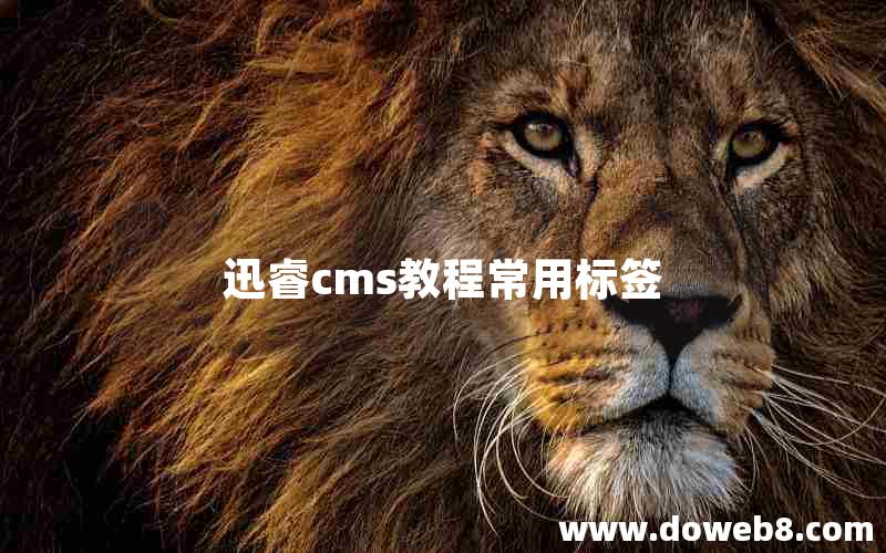 迅睿cms教程常用标签