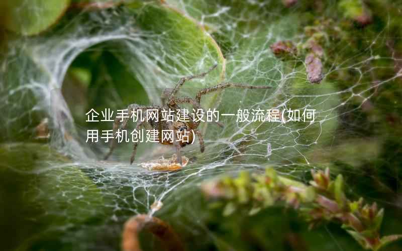 企业手机网站建设的一般流程，如何用手机创建网站