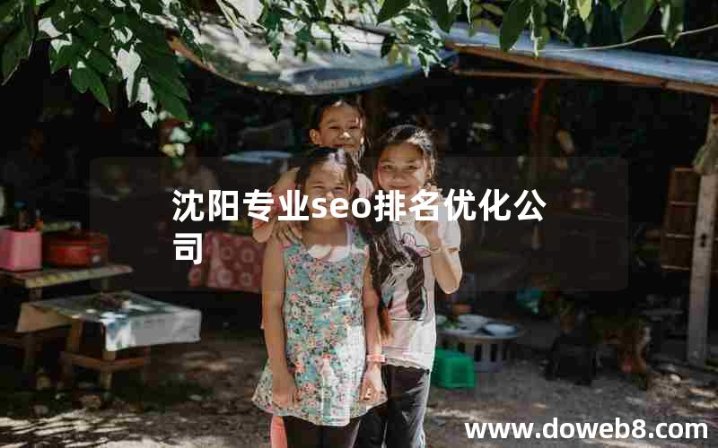 沈阳专业seo排名优化公司