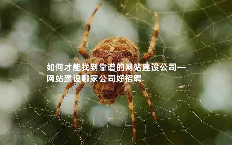 如何才能找到靠谱的网站建设公司—网站建设哪家公司好招聘