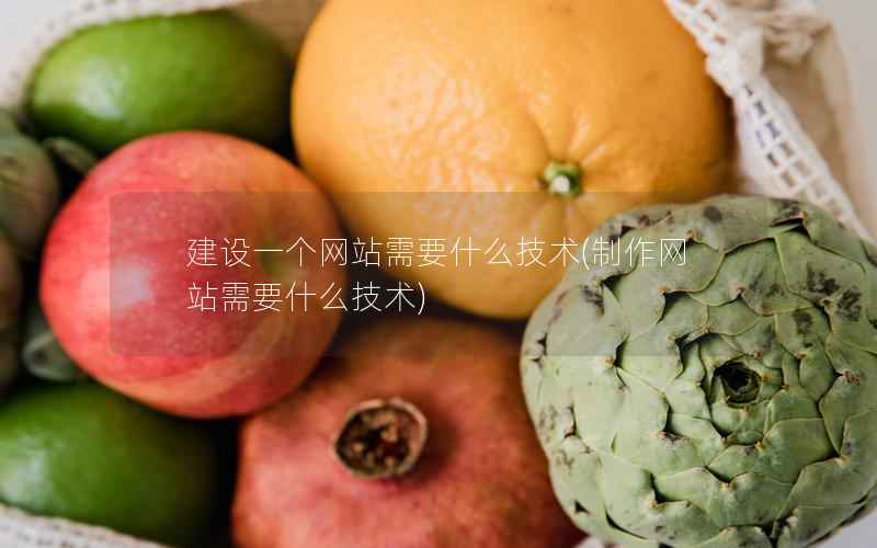 建设一个网站需要什么技术，制作网站需要什么技术